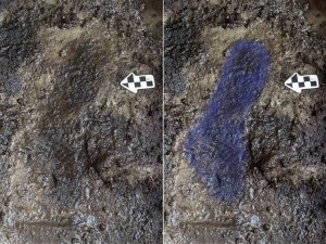 print-calvert-footprints