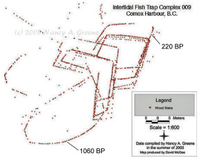 Comox fishtrap diagram