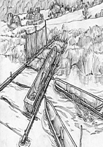 Dock for logboats